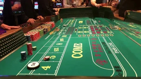 535 bet app 