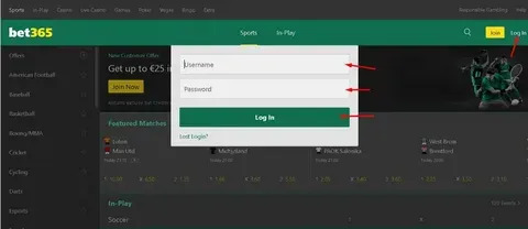 plataforma do jogo do tigrinho que tá pagando 