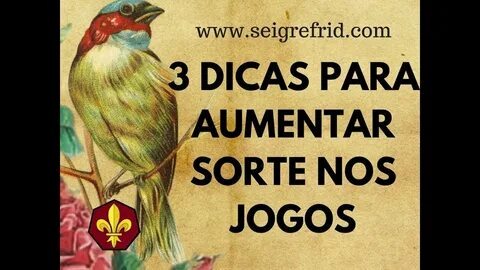série sobre jogo do bicho 